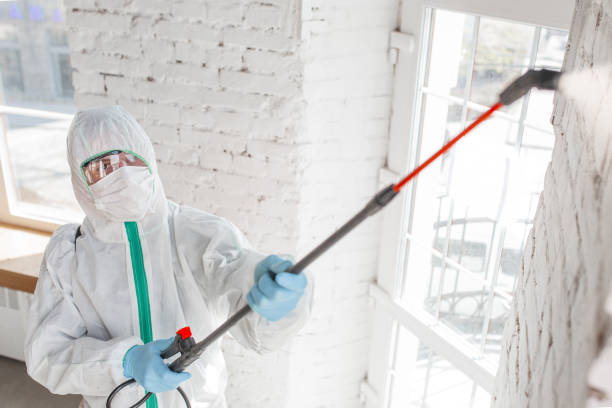 Best Forensic Mold Investigation  in Jeffersonville, IN