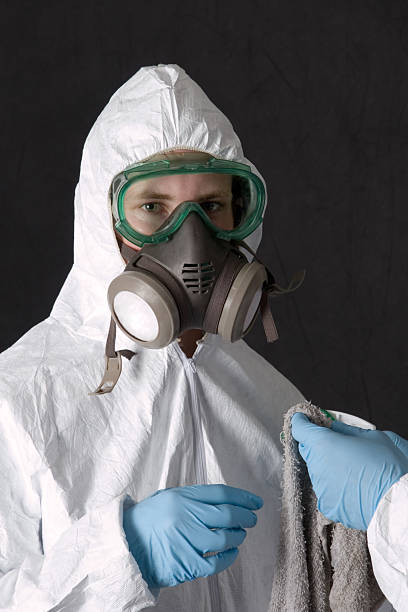 Best Basement Mold Removal  in Jeffersonville, IN